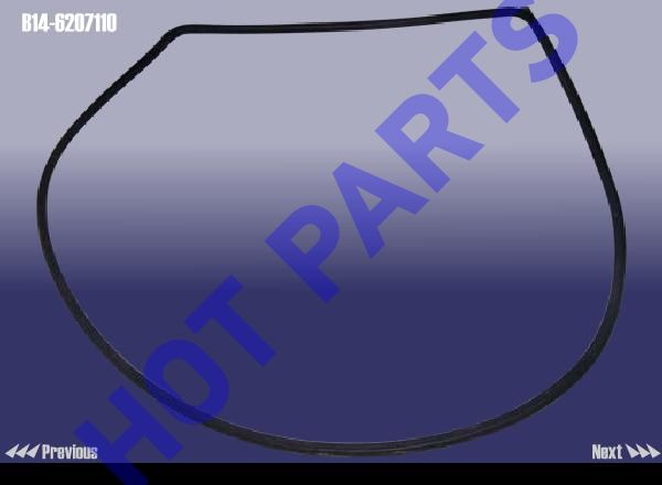 WEATHERSTRIP - REAR DOOR FRAME LH