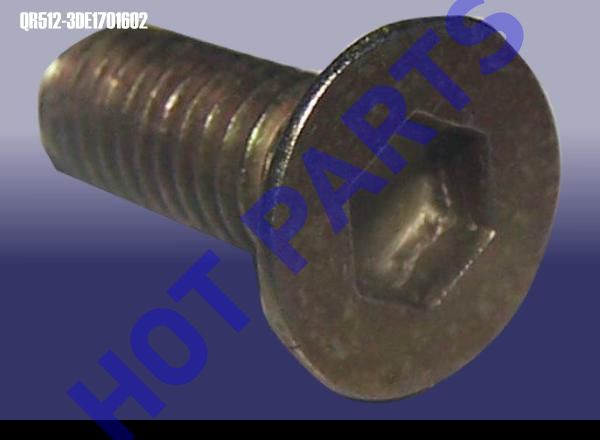 SCREW CAP - MD SHAFT